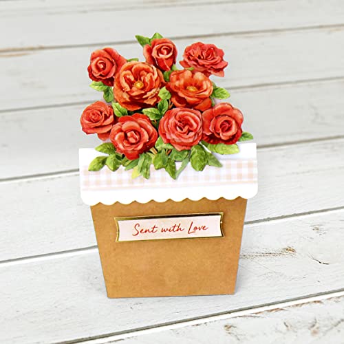 image for Katy Sue Flower Patch Pots Card Making Kit. 8 Cards, 8 Envelopes, 3 Sh