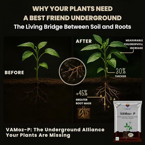 Image of Utkarsh Mycorrhiza with 1200 IP /gm Bio Fertilizers for Healthy Plants, Vigorous Stem Girth, Enhances Nutrient Absorption, Water Uptake & Soil Aeration | VAMoz-P (4.5 Kg; Pack of 5 of 900 gm)