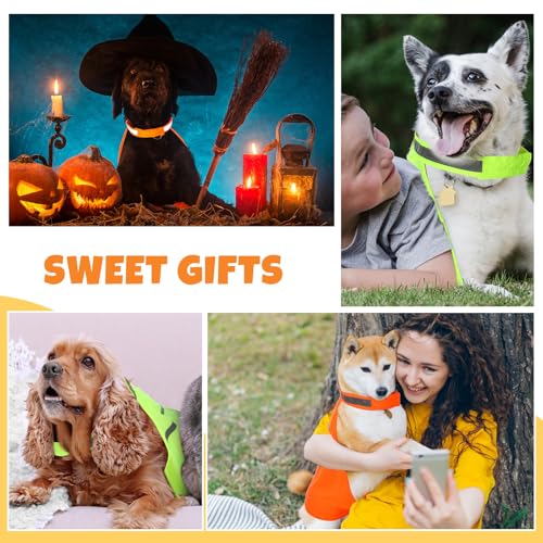 Chaleco reflectante para perros naranja y amarillo 2 piezas miniatura 7