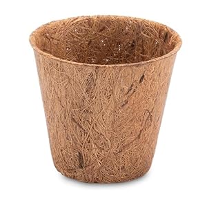 ProFlora Kokos Anzuchttöpfe 50ml, 100 Stück