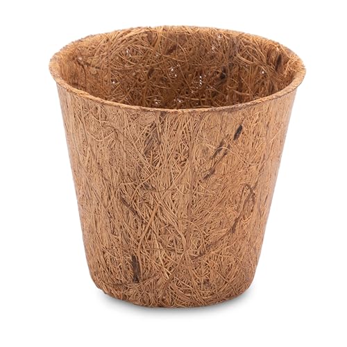 ProFlora Kokos Anzuchttöpfe 50ml, 100 Stück