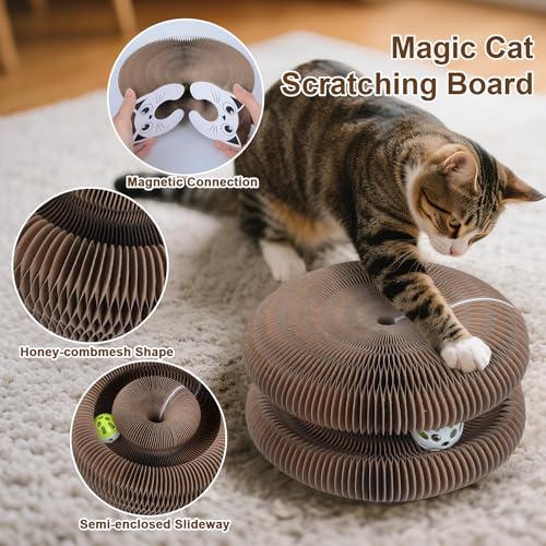 Qoosea Magische Orgel Katzenkratzbrett katzenspielzeug, Interaktive Kitten Kratzbrett Cat Toys, Magic Organ Cat Scratching Board mit Glockenball für Innen, Intelligenz Kratzpappe Katzen Spielzeug Set