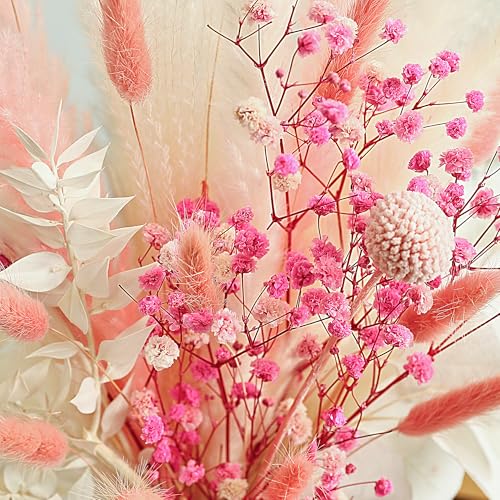 90pcs Flores Secas Pink Pampas Grass Decor miniatura 6