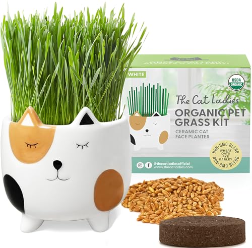 The Cat Ladies Ceramic Cat Grass Kit