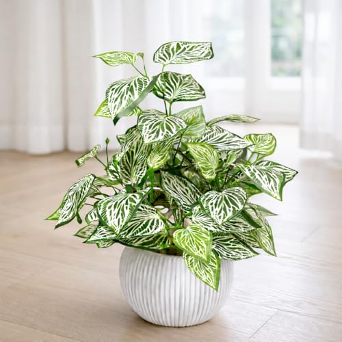 Indoor vs Outdoor Artificial Plants: Which Is Better? 13 Artificial Fittonia Green Plant with Fibre Plastic Pot for Home &...
