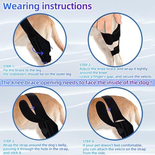 Image of M Dog Knee Brace for Torn Acl Hind Leg with Side Stabilizers, Better Recovery for Arthritis,Dog Leg Braces for Back Leg Keeps The Joint Warm and Stable