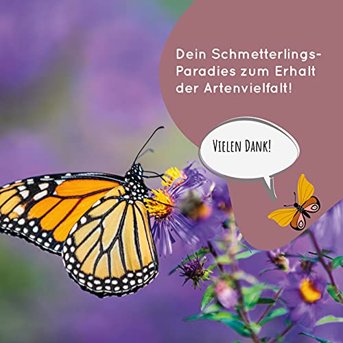Schmetterlingswiese I 100 g I Blumenmischung für 100 m² I Blumenwiese Samen mehrjährig und einjährig I Wildblumensamen… – Bild 8