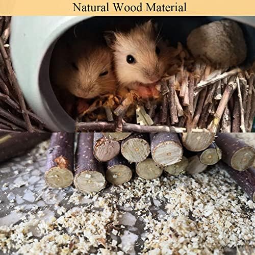 LISSION Apple Tree Sticks 2.2lb 1000g, Natural Wood Molar Sticks, Pet Chew Toys for Guinea Pig, Chinchilla, Rabbit, Hamster, Bunny, Small Animal Molar Snacks - 4