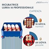 Zoom IMG-1 borotto lumia 16 incubatrice per Zoom IMG-1 borotto lumia 16 incubatrice per