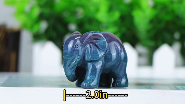 Amazon.com: ​2