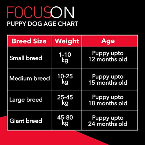 Image of Dog Food Focus Adult Super Premium Dog Food, 15 x 100gm