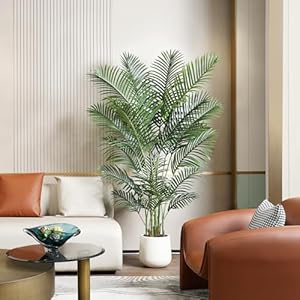 Artificialpalmtree6fttallfakeplantwithwhiteplanterfauxtropicalpalmtreefakemossforindoorhomedecorofficelivingroomfrontporchpatio Urban Country Home Decor Artificial palm tree 6ft tall fake plant with white planter faux tropical palm tree fake moss for indoor home decor office living room front porch patio urban country home decor