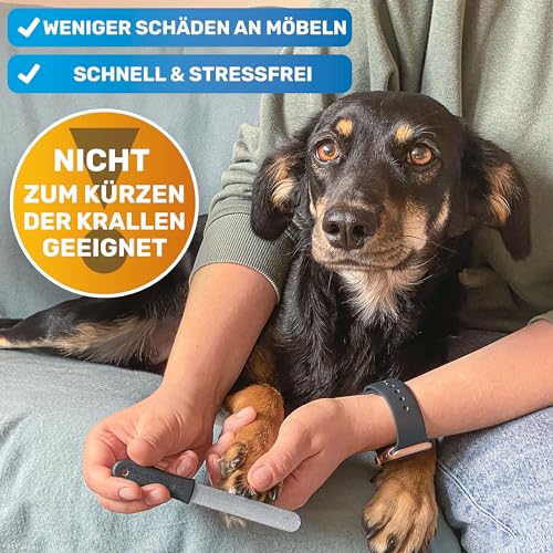 BluePet Krallenfeile für Hunde und Katzen, Nagelfeile Hundekrallen, Krallenpflege Hund, Katze & Kleintiere, Nägel feilen, Ergänzung zu Krallenschere & Krallenschleifer (1x fein)