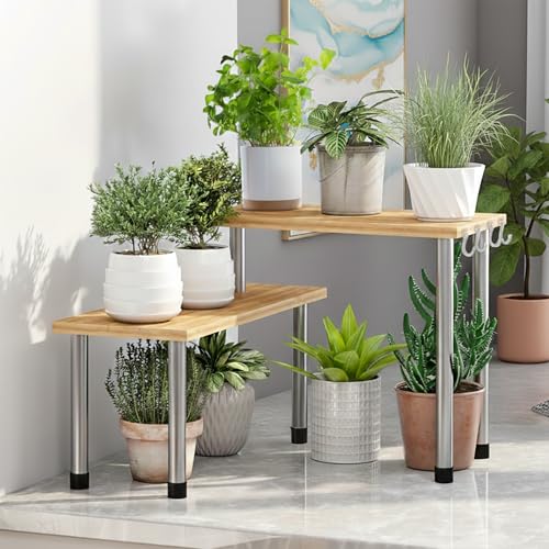 Image of ABJA Premium Kitchen Counter Top Organizer, Shelf Rack for Kitchen Storage, Wooden Corner Shelf, 2 Tier Spice, Oil Stand, Tabletop Adjustable Rack (Golden Brown, 2 Tier)
