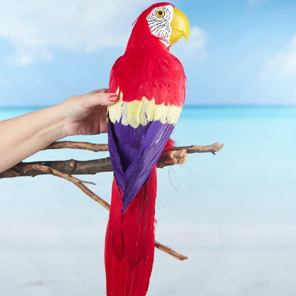 Factory Direct Craft Life Size Feathered Red Artificial Macaw Parrot for Tropical Displays, Photo Props & Halloween Costumes