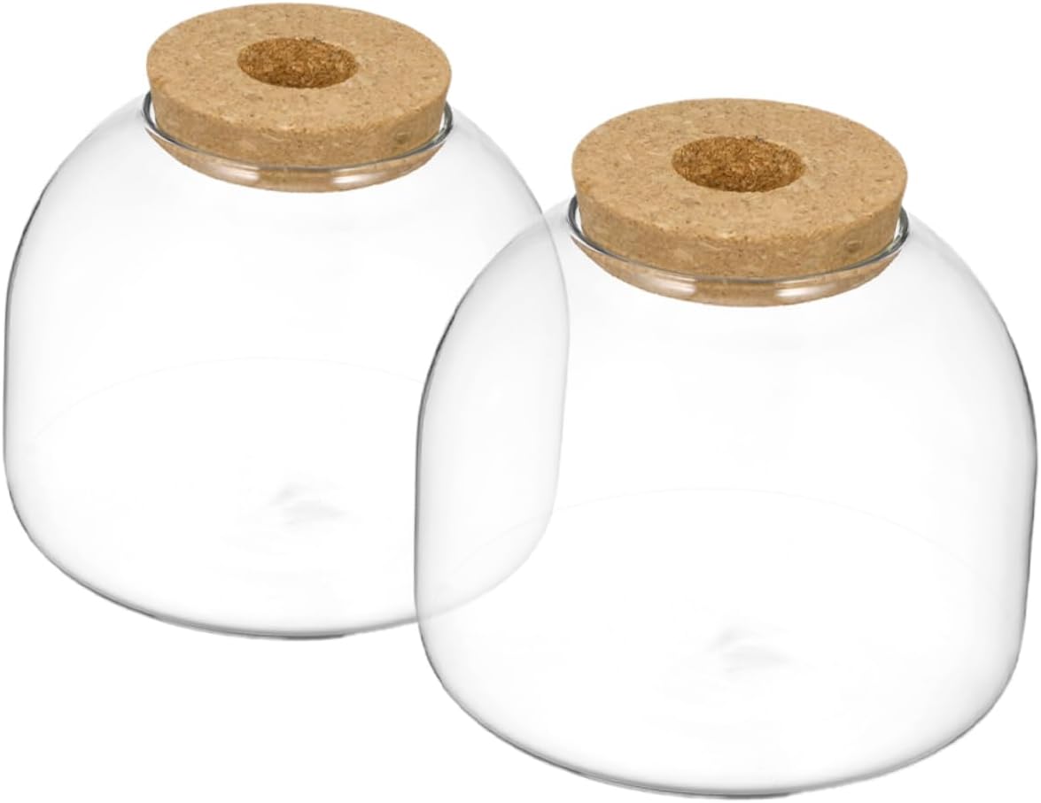 2pcs Glass Terrarium Bottle Cork Stopper for Landscaping Decorative Container for and Moss Plants Space-saving Design for Decor