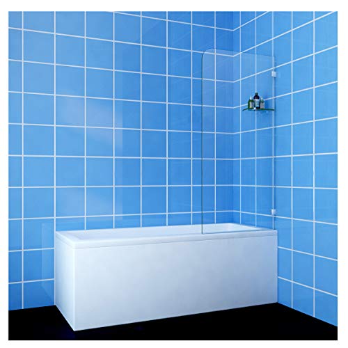 bath frameless shower door