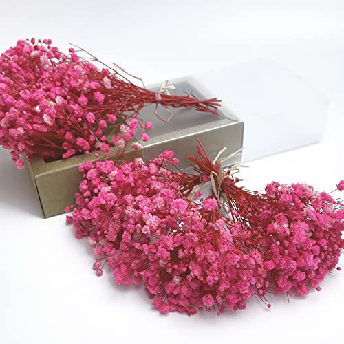 Birtlynn 6Pcs Preserved Baby's Breath, Mini Size Bouquets 100% Natrual Gypsophila Long Lasting Flowers for Vase Home Decoration Photo Props Parties Weddings Card Making Crafts Floral, DIY Décor-Pink