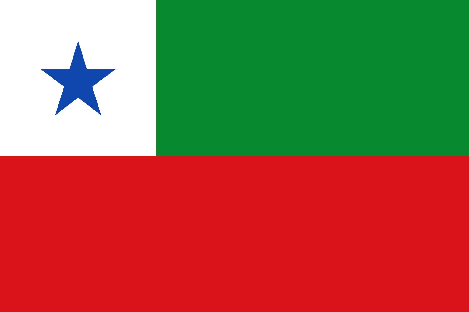Drapeau paysage Victoria Caldas Colombie grand format pour mât extérieur