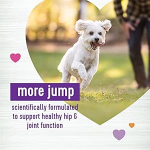 Wellness Grilled Chicken Flavored Soft Chews Hip & Joint Health Supplements for Dogs, 90 Count