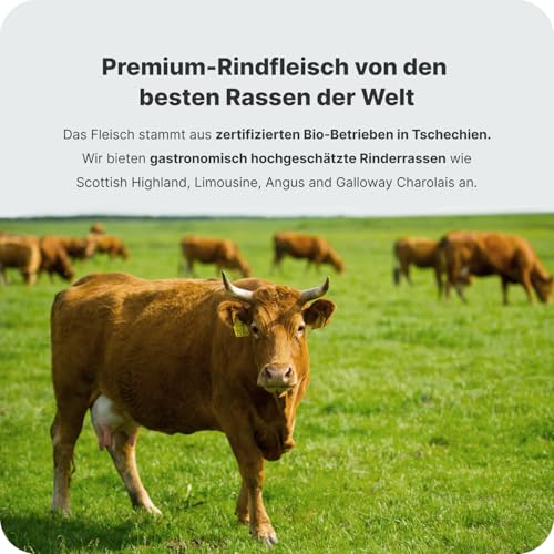Vilgain Getrocknete Steakstreifen BIO – 25 g, 98,5% hochwertiges Rindfleisch, proteinreich, salziger Snack, ohne Zusatzstoffe, aus zertifizierten Bio-Betrieben, ideal für unterwegs