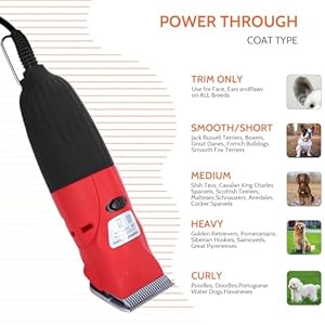 35W Electric Pet Hair Clipper Cutter Trimmer Shaver Grooming Kit for Small Larger Dog Cat with 3 Interchangeable Blades and 3m Power Cable, Dog Clippers for Grooming
