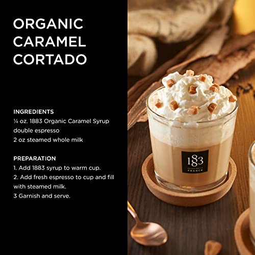 Image of 1883 Maison Routin - Organic Caramel Syrup - Made in France - Glass Bottle | 1 Liter (33.8 oz)