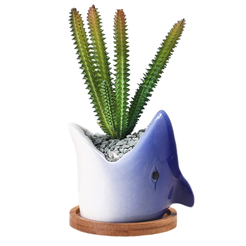 Ceramic Shark Succulent Pots, Cute Funny Planter, Creative Plant Pots for Plants, Succulents, Flowers, Cactus, for Indoors Outdoor Office Home Garden