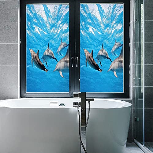Dolphin Privacy Window Film, Underwater Photography Of Dolphins Happily Swimming Ocean Animal Life Image Print, Glass Film For Home Office Living Room, W35.4 X L78.7 Inch Grey Blue #TOP4