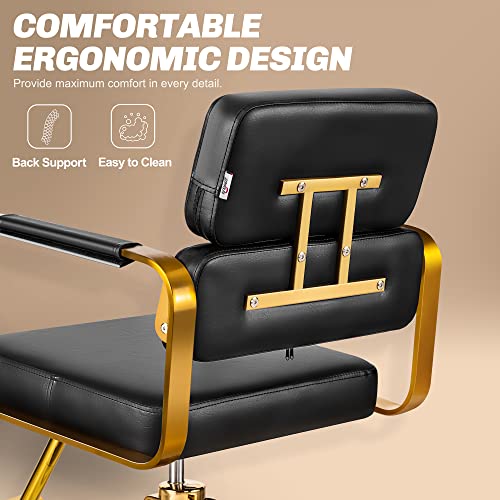 Baasha Premium Salon Chair, Gold Salon Chair For Hair Stylist, Hair Salon Chair With Stainless Steel Armrest, 360° Swivel Styling Chair, Weight Capacity Up To 330 Lbs, Black And Gold Salon Chair #TOP4