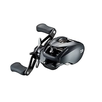 Amazon | ダイワ(DAIWA) ベイトリール 22 シルバーウルフ SV TW
