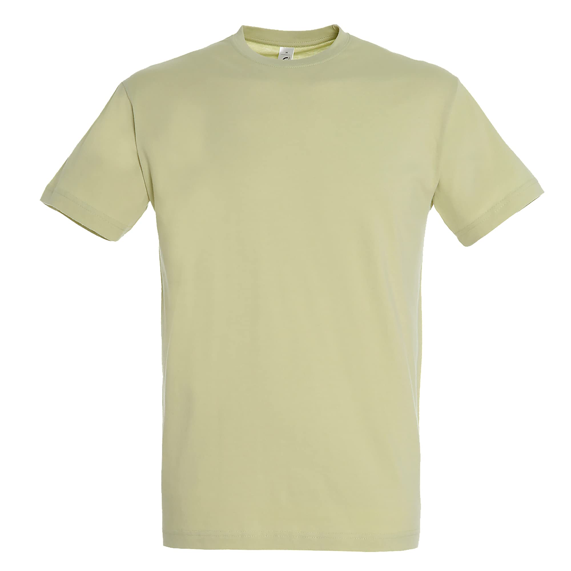 SOLS Mens Regent Short Sleeve T-Shirt (S) (Green Sage)