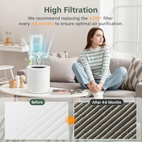 Image of A2001 Replacement Filter Compatible with A2001 Air Purifier, 3-In-1 Efficient Filtration Activated Carbon Filter, Compared to Part #AF-2001, 2 Pack