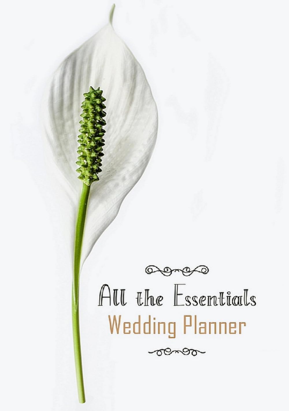 Wedding Planner & Organizer: A Keepsake Record of Your Wedding Journey      Hardcover – January 7, 2026