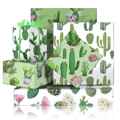 Papier cadeau succulentes plié plat avec ruban pour homme et femme