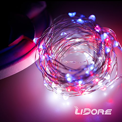 Lidore Led Fairy String Light Decorative Light For Patriotic Theme Birthday Wedding Baby Shower Party Indoor And Outdoor Different Twinkle Modes 100 Counts 110V Plug In #TOP1