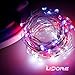 LIDORE LED Fairy String Light Decorative Light for Patriotic Theme Birthday Wedding Baby Shower Party Indoor and Outdoor Different Twinkle Modes 100 Counts 110v Plug in