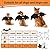 Vivifying Dog Bat Wings, Dog Halloween Costume with Pumpkin Bell, Adjustable Pet Cosplay Costumes for Puppy Dog and Cat (Neck?15 - 24.8 in/Chest: 18.5-32 in)