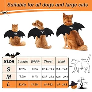 Vivifying-Bat-Wings-for-Dog-Adjustable-Halloween-Pet-Bat-Costume-with-Bell-for-Medium-Large-Dogs-Party-Decoration-and-Cosplay - Cucciolini Doodles   Vivifying-Bat-Wings-for-Dog-Adjustable-Halloween-Pet-Bat-Costume-with-Bell-for-Medium-Large-Dogs-Party-Decoration-and-Cosplay