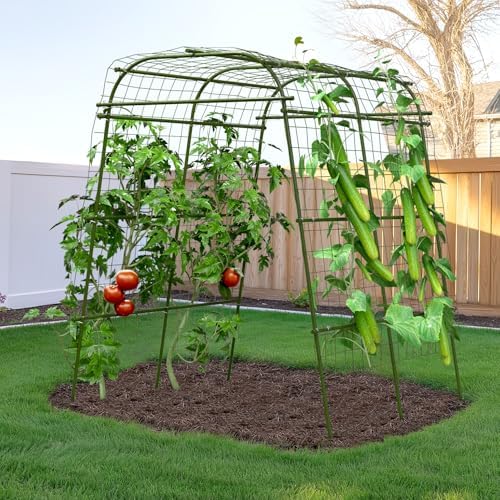 Best Trellis for Blackberries - Which One Will Transform Your Garden? 7 HIRALIY Garden Arch Trellis for Climbing Plants, 6.3 ft Tall Metal Cucumber Trellis, Arch Tunnel for Tomato Grape Vine Vegetables, Plant Support Archway for Garden Raised Bed, Green