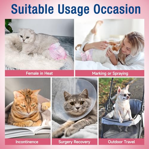 MICOOYO Hundewindeln für Hündinnen, Super Saugfähige Katzen Windeln mit Verstellbaren Schaumstofflöchern, Einweg-Katzen-Windelhosen für läufige Hündinnen (XS, 24Stück)