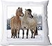 Produktbild +++ FJORD Fjordpferd NORWEGER Pferd - KISSENBEZUG Kissenhülle | PILLOW CASE seidig weich - FJO 35