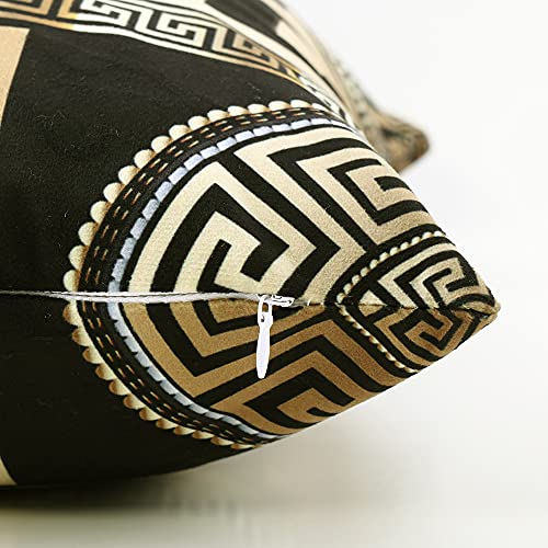 Tyfuty Greek-Key Throw Pillow Covers, Pillowcases Modern Geometric Greek Pattern Gold Wallpaper with Key Cushion Use for Living Room Bedroom Sofa Office 16 x 16 inch
