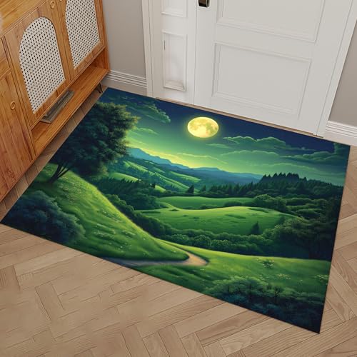 Tapis d'entrée absorbant et antidérapant lavable 50x80cm