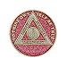 1 Year Sobriety Coin | Glitter Triplate AA Chip Recovery Anniversary Token (Pink)