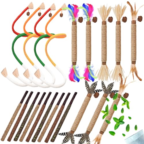 GREMBEB Cat Toys 21PCS Mix Catnip Chew Rope Silvervine Stick for Indoor Cat