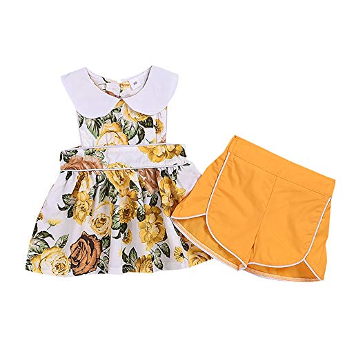 BAOBAOLAI Roupas para bebês meninas sem mangas com estampa floral e shorts Conjunto de 2 peças de ro