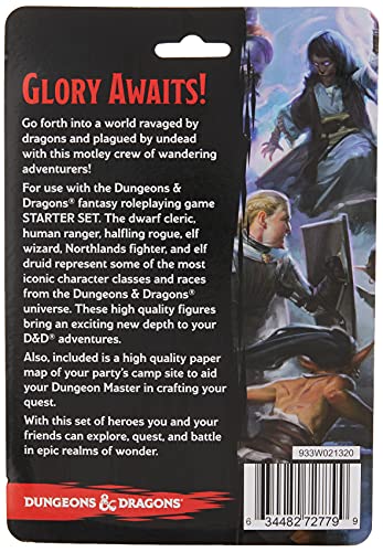 D&D: Icons of the Realms - Epic Level Starter