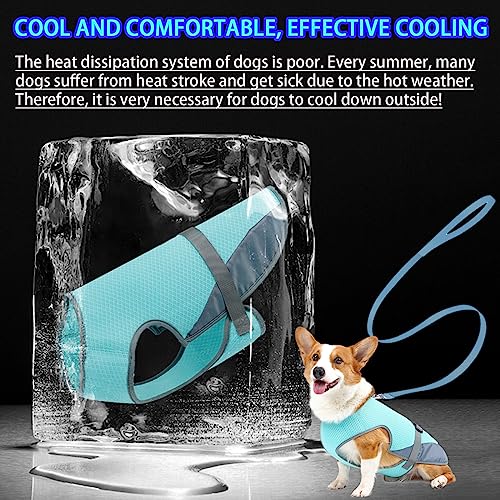 DKDDSSS Hund Kühlweste, Atmungsaktiv Hundekühlweste, Sommer Cool Hundejacke, Cooler Komfortabler Hundemantel, für Kleine Bis Mittelgroße Hunde Aktivitäten Draußen Training (Blue, M)