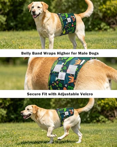 Image of CuteBone Dog Diapers Male Belly Bands 3 Pack for Male Dogs Reusable Puppy Wraps